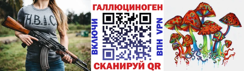 Галлюциногенные грибы Cubensis  продажа наркотиков  Сертолово 